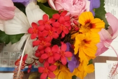 WhatsApp-Image-2025-07-02-at-12.02.09-AM